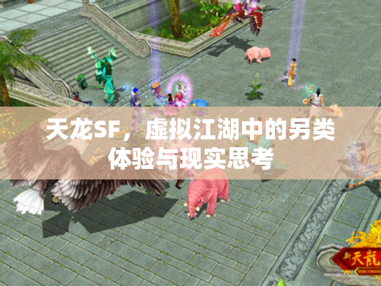 天龙SF，虚拟江湖中的另类体验与现实思考