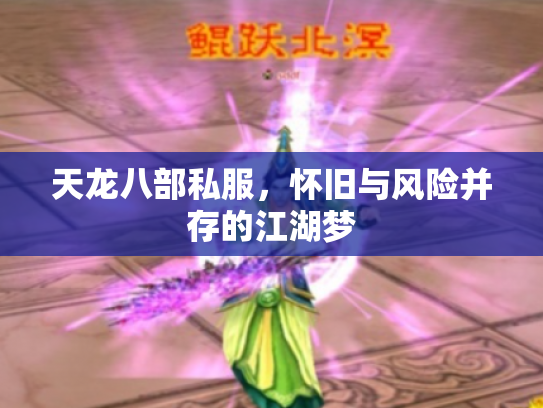 天龙八部私服，怀旧与风险并存的江湖梦