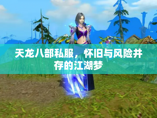天龙八部私服，怀旧与风险并存的江湖梦
