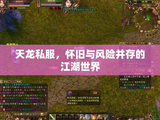 天龙私服，怀旧与风险并存的江湖世界