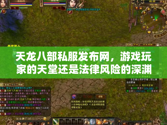 天龙八部私服发布网，游戏玩家的天堂还是法律风险的深渊？