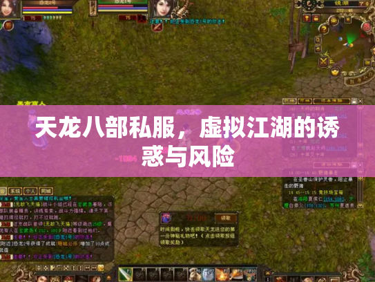 天龙八部私服，虚拟江湖的诱惑与风险