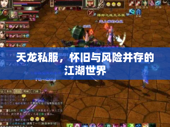 天龙私服，怀旧与风险并存的江湖世界