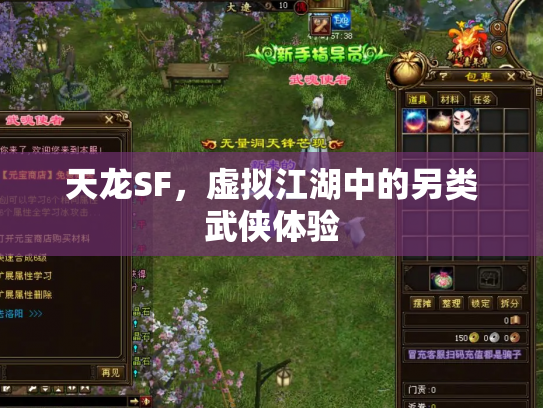 天龙SF，虚拟江湖中的另类武侠体验