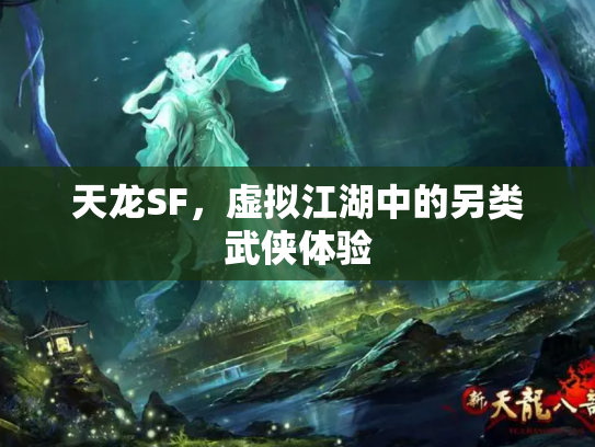天龙SF，虚拟江湖中的另类武侠体验