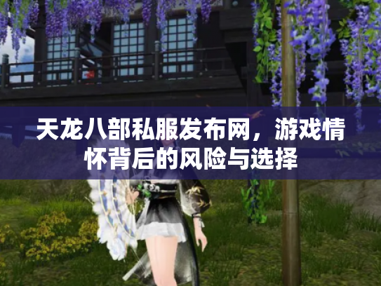 天龙八部私服发布网，游戏情怀背后的风险与选择