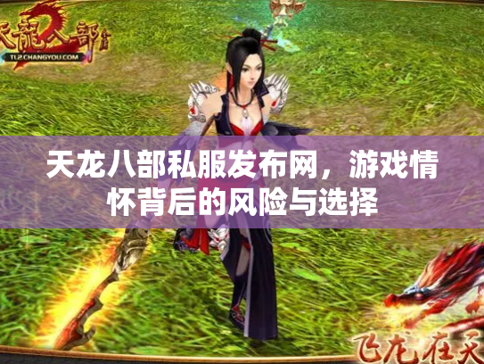 天龙八部私服发布网，游戏情怀背后的风险与选择
