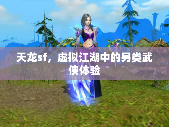 天龙sf，虚拟江湖中的另类武侠体验