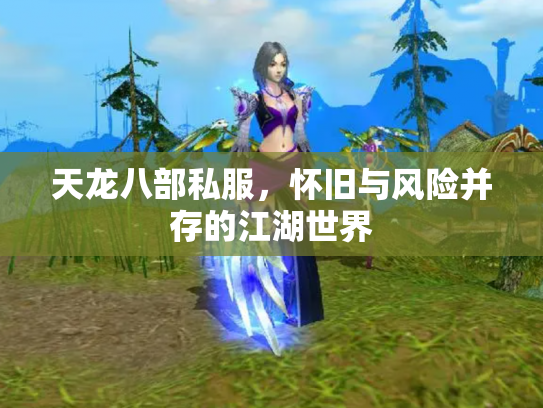 天龙八部私服，怀旧与风险并存的江湖世界