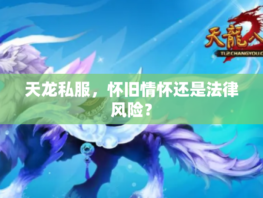 天龙私服，怀旧情怀还是法律风险？