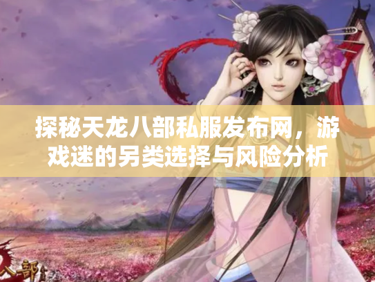 探秘天龙八部私服发布网，游戏迷的另类选择与风险分析