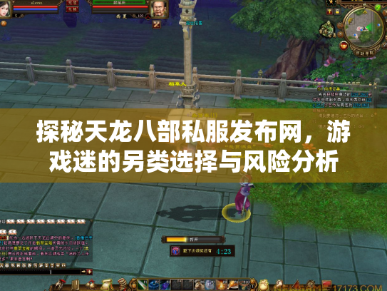 探秘天龙八部私服发布网，游戏迷的另类选择与风险分析