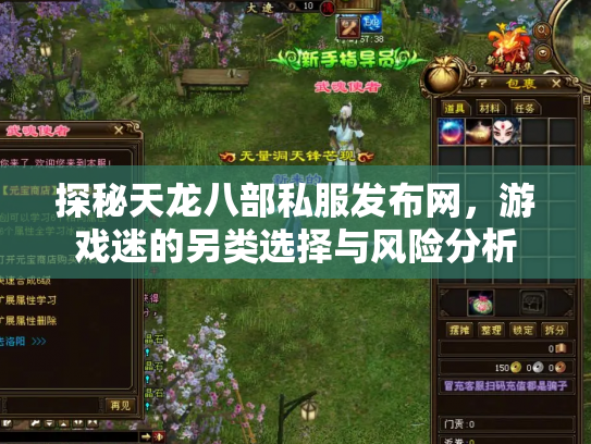 探秘天龙八部私服发布网，游戏迷的另类选择与风险分析