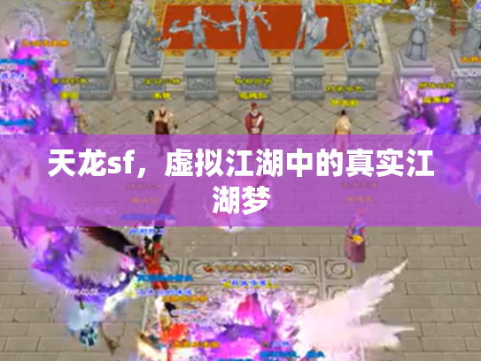 天龙sf，虚拟江湖中的真实江湖梦