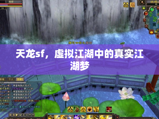 天龙sf，虚拟江湖中的真实江湖梦