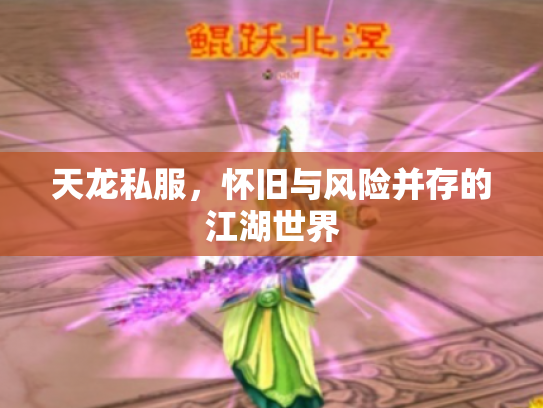 天龙私服，怀旧与风险并存的江湖世界