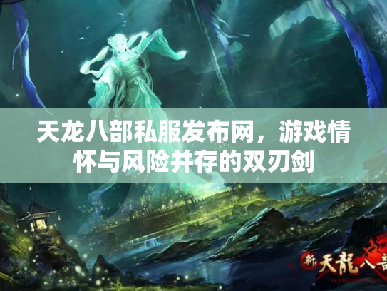 天龙八部私服发布网，游戏情怀与风险并存的双刃剑