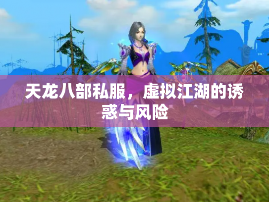 天龙八部私服，虚拟江湖的诱惑与风险