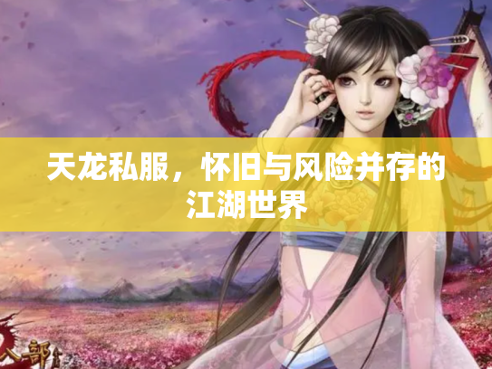 天龙私服，怀旧与风险并存的江湖世界