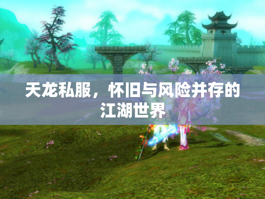 天龙私服，怀旧与风险并存的江湖世界
