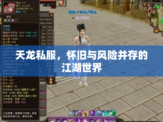 天龙私服，怀旧与风险并存的江湖世界