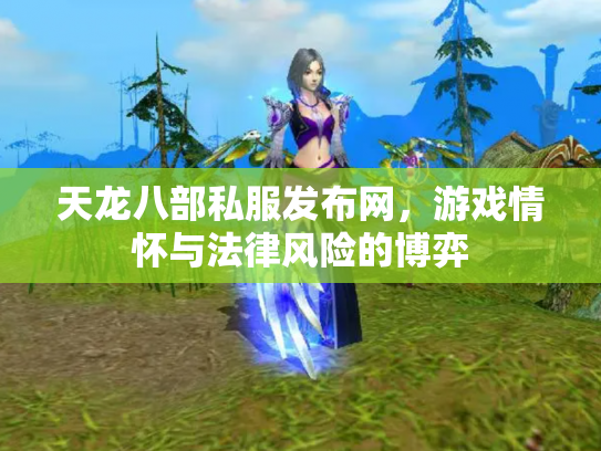 天龙八部私服发布网，游戏情怀与法律风险的博弈