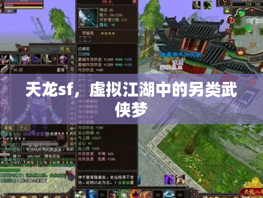 天龙sf，虚拟江湖中的另类武侠梦