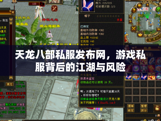 天龙八部私服发布网，游戏私服背后的江湖与风险