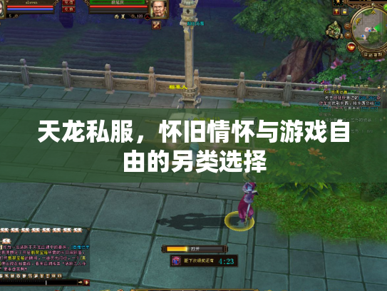 天龙私服，怀旧情怀与游戏自由的另类选择