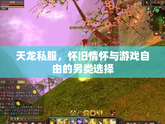 天龙私服，怀旧情怀与游戏自由的另类选择