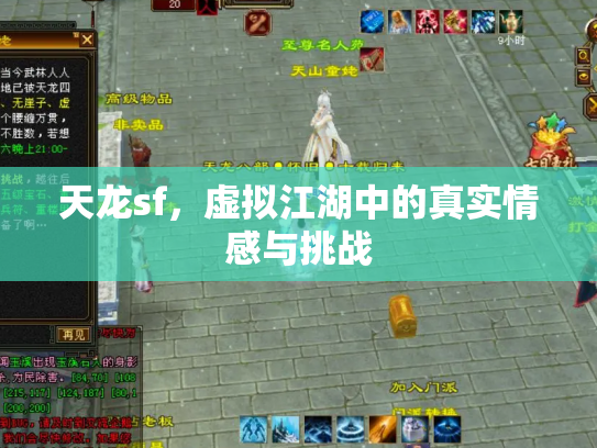 天龙sf，虚拟江湖中的真实情感与挑战