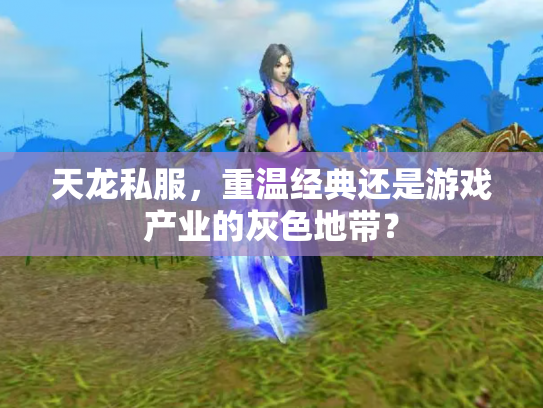 天龙私服，重温经典还是游戏产业的灰色地带？