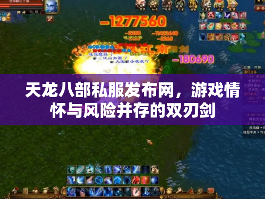 天龙八部私服发布网，游戏情怀与风险并存的双刃剑