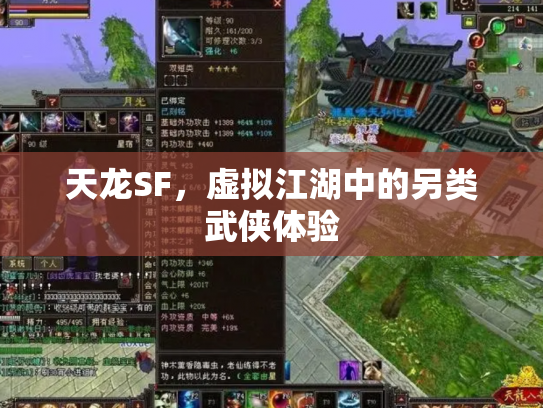 天龙SF，虚拟江湖中的另类武侠体验