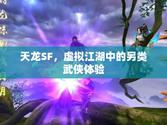 天龙SF，虚拟江湖中的另类武侠体验