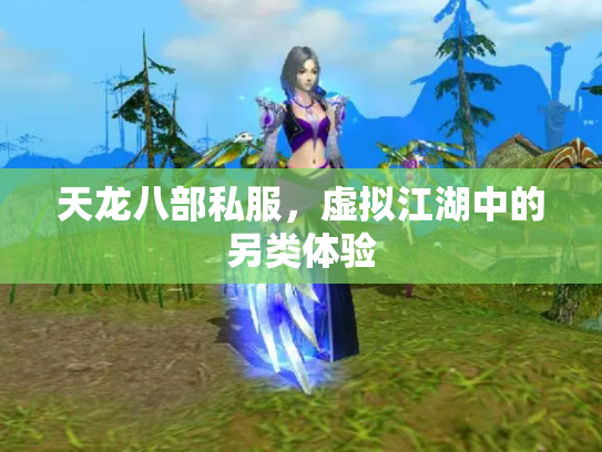 天龙八部私服，虚拟江湖中的另类体验