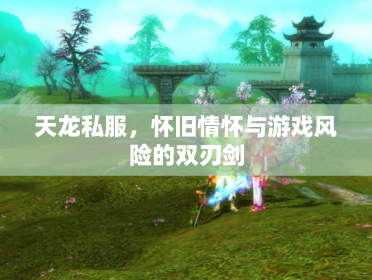 天龙私服，怀旧情怀与游戏风险的双刃剑