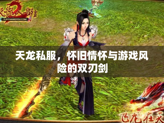 天龙私服，怀旧情怀与游戏风险的双刃剑