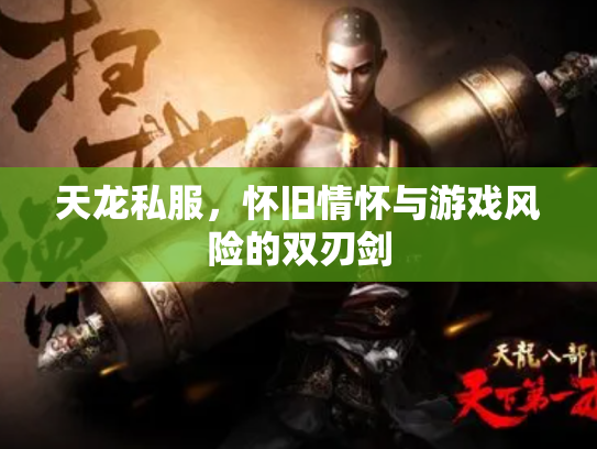 天龙私服，怀旧情怀与游戏风险的双刃剑