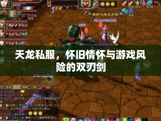天龙私服，怀旧情怀与游戏风险的双刃剑
