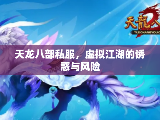 天龙八部私服，虚拟江湖的诱惑与风险
