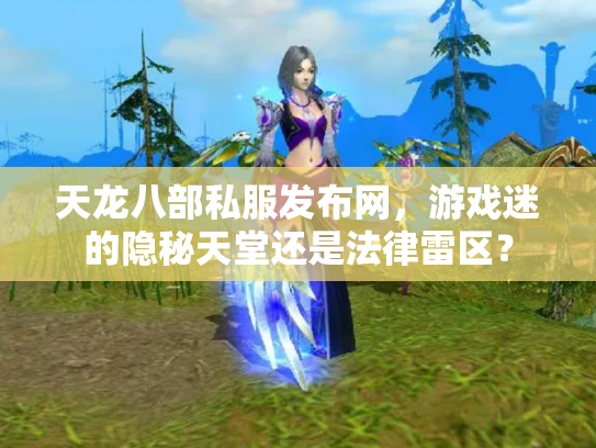 天龙八部私服发布网，游戏迷的隐秘天堂还是法律雷区？