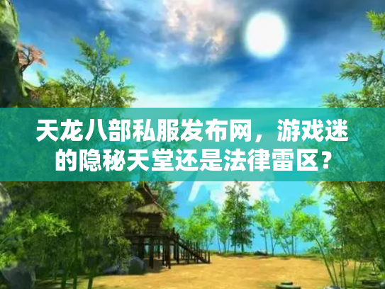 天龙八部私服发布网，游戏迷的隐秘天堂还是法律雷区？