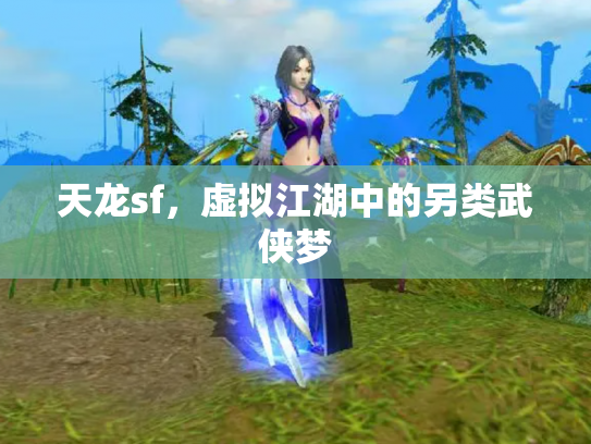 天龙sf，虚拟江湖中的另类武侠梦