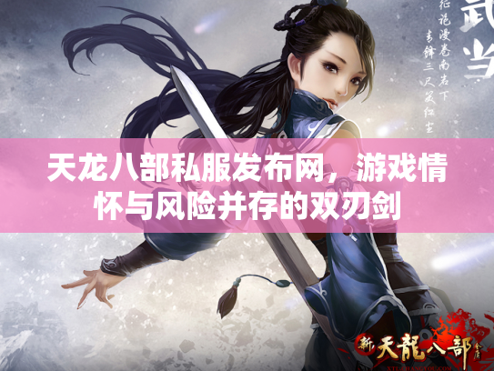 天龙八部私服发布网，游戏情怀与风险并存的双刃剑