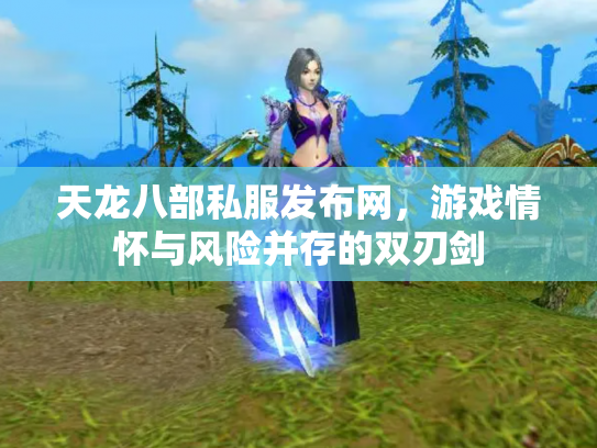天龙八部私服发布网，游戏情怀与风险并存的双刃剑