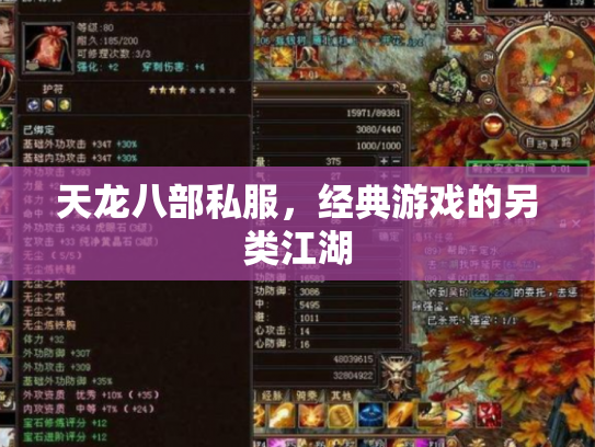 天龙八部私服，经典游戏的另类江湖