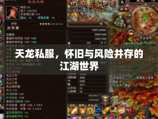 天龙私服，怀旧与风险并存的江湖世界