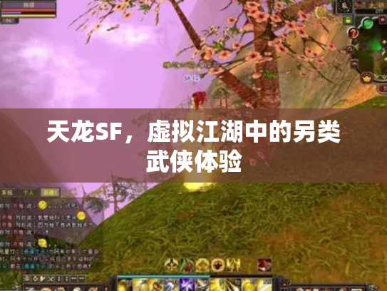 天龙SF，虚拟江湖中的另类武侠体验