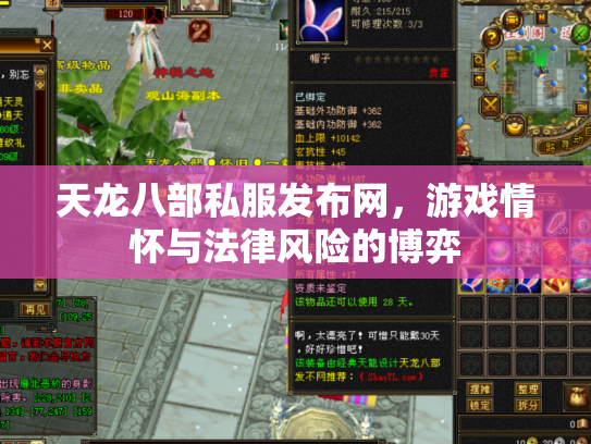 天龙八部私服发布网，游戏情怀与法律风险的博弈